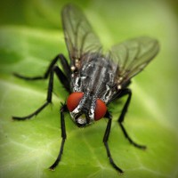 /album/video-blog-b-f-f/photolia-a01-jpg/