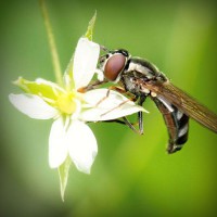 /album/video-blog-b-f-f/photolia-a02-jpg/