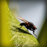 /album/video-blog-b-f-f/photolia-a04-jpg/