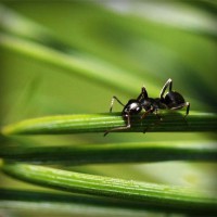 /album/video-blog-b-f-f/photolia-a05-jpg/