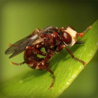 /album/video-blog-b-f-f/photolia-a06-jpg/