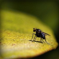 /album/video-blog-b-f-f/photolia-a07-jpg/